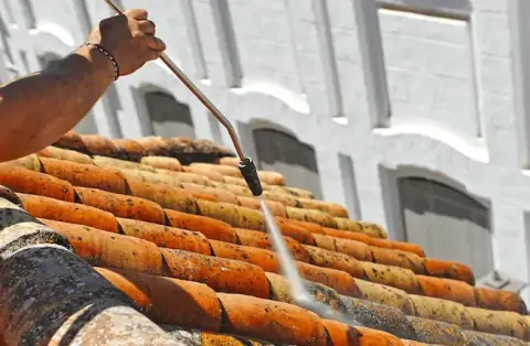 Démoussage de toiture à Saint-Denis-de-Pile